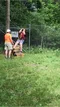 carousel chooser